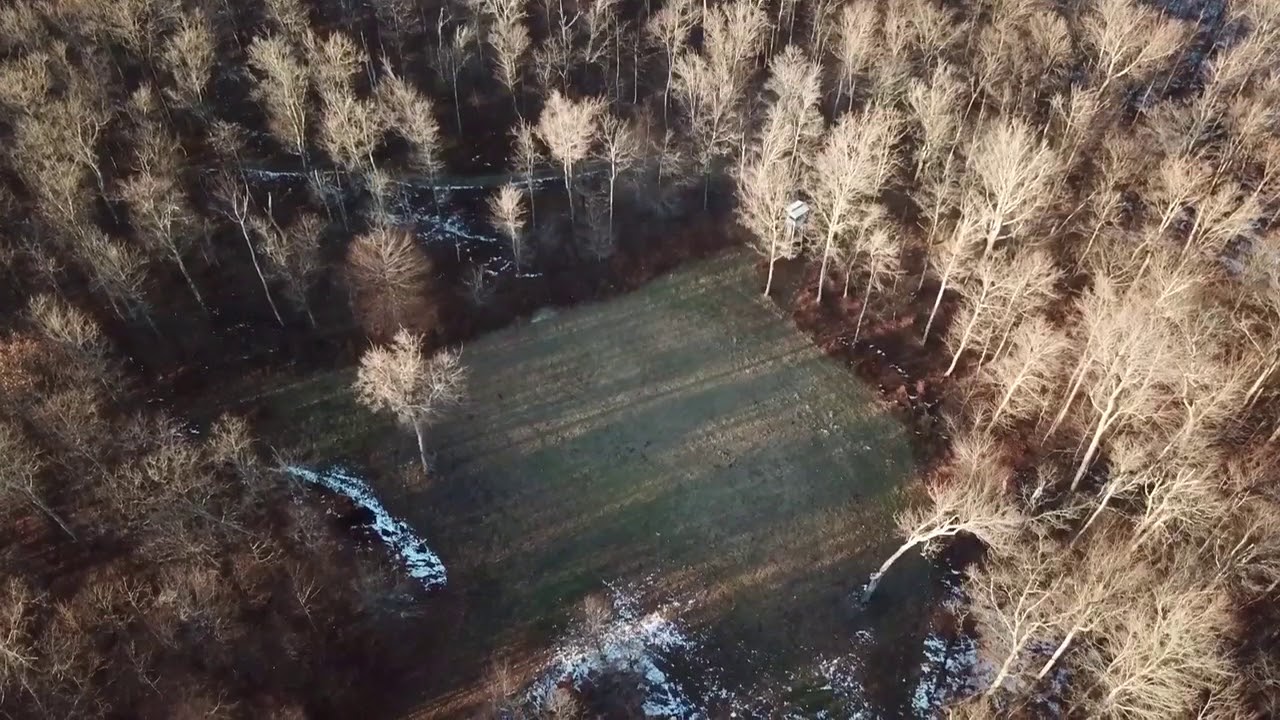 Schenevus time YouTube