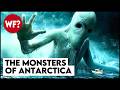 Cryptids Vol 3 The Antarctic Cover Up Predators Beneath The Ice Cryptids Vol 3 The Antarctic Cover Up Predators Beneath The Ice