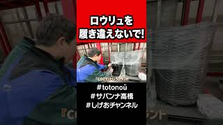⚠️注意⚠️ ロウリュを履き違えると・・・