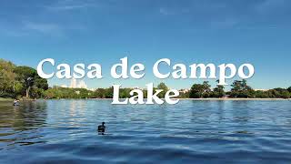 Peaceful Lake in Casa de Campo Madrid 🌿 Soft Piano & Nature Sounds | 1 Hour Relaxation 4K screenshot 4