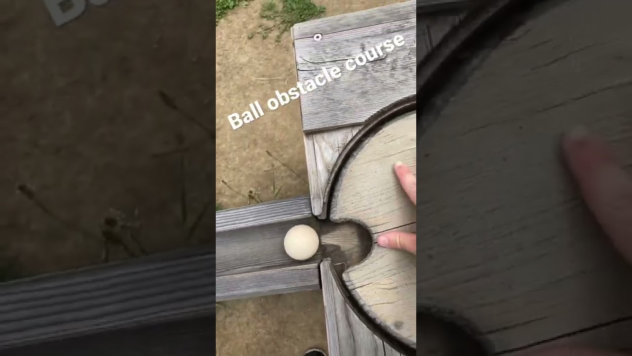 Ball obstacle course at the zoo