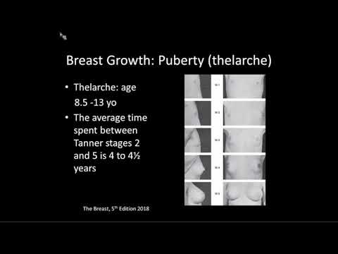 Endocrinology of the Breast