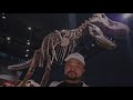 Royal Tyrrell Museum #youtubeshorts #vlog #explore #travelvlog #nature #naturelovers 