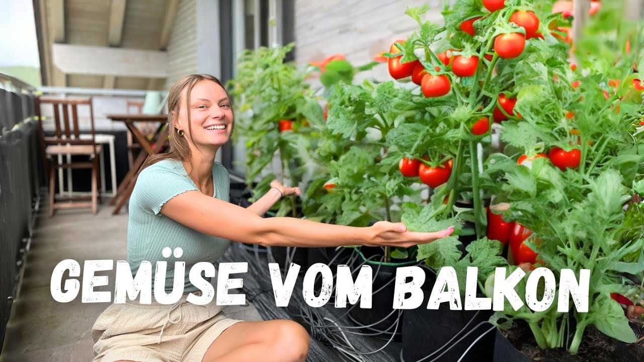 Ich versuche GEMÜSE AUF DEM BALKON anzubauen! – Mein Hochbeet-Garten von Januar bis Juli