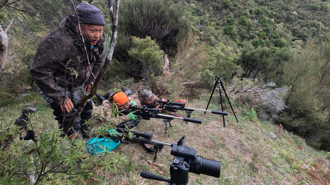 FILM 36. Got Pig Only On Deer Hunting Trip . Hmong New Zealand