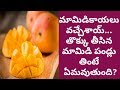 Health Benefits of Mango | Health Tips In Telugu | Manandari Health