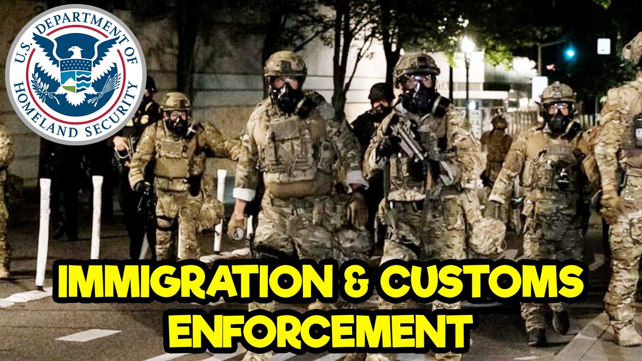 Immigration And Customs Enforcement Organizational Chart