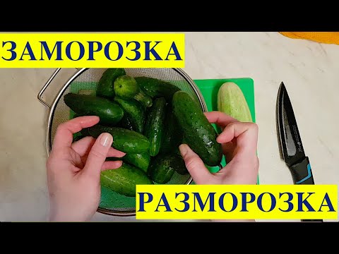 Заморозка огурцов + Разморозка огурцов! Мой отзыв