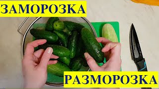 Заморозка огурцов + Разморозка огурцов! Мой отзыв