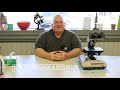 How to change the bulb in a Olympus BHS Microscope (12V100W version)