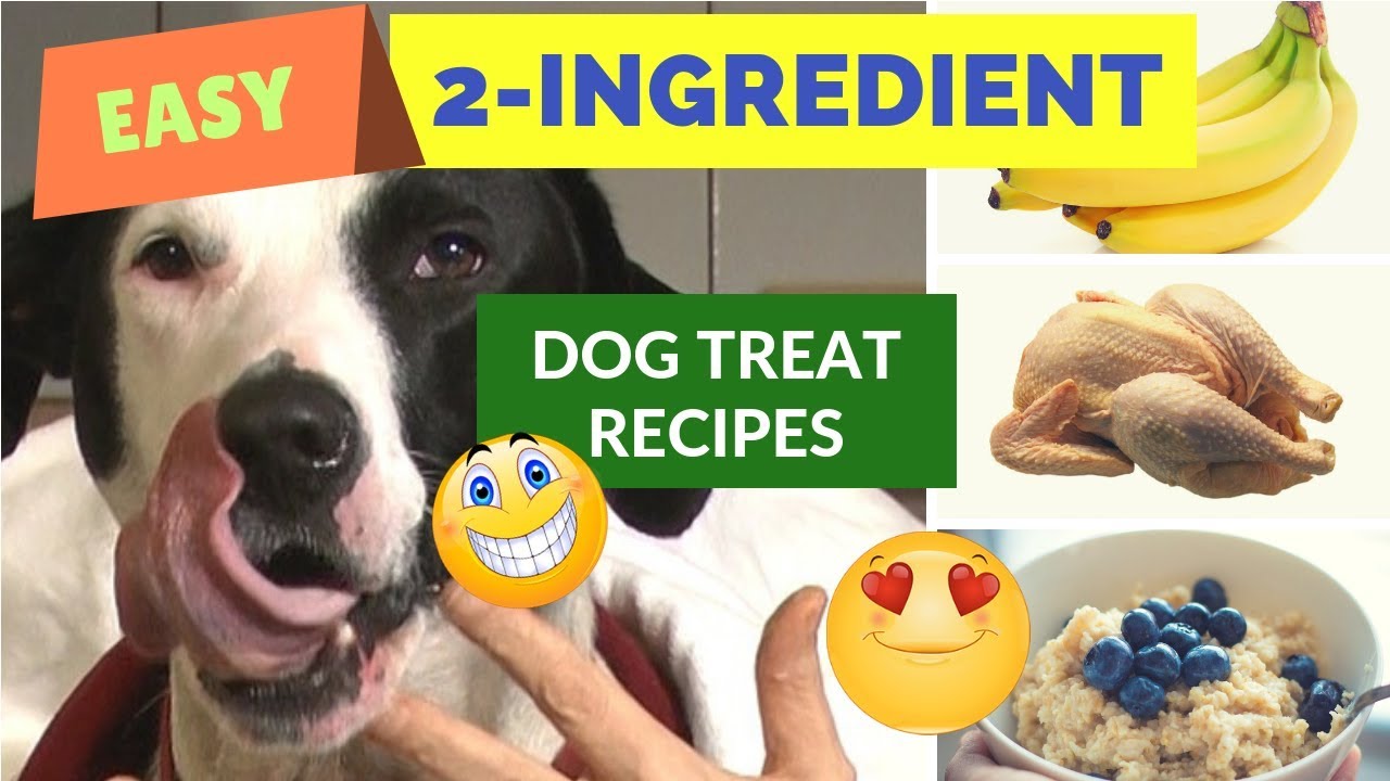 Easy 2 Ingredient Dog Treat Recipes YouTube