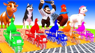 5 Giant Duck, Monkey, Lion, chicken, dog, dinosaur, Tiger, Sheep, Transfiguration funny animal 2024