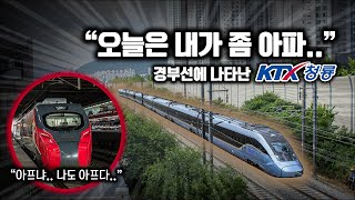 나 KTX-청룡인데.. 오늘은 이쪽으로 갈께~ / KTX-청룡 수도단 회송 현장스케치