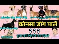 konsa dog palna chahiye कौन सा कुत्ता पालना चाहिए konsa dog lena chahiye / best dog for home