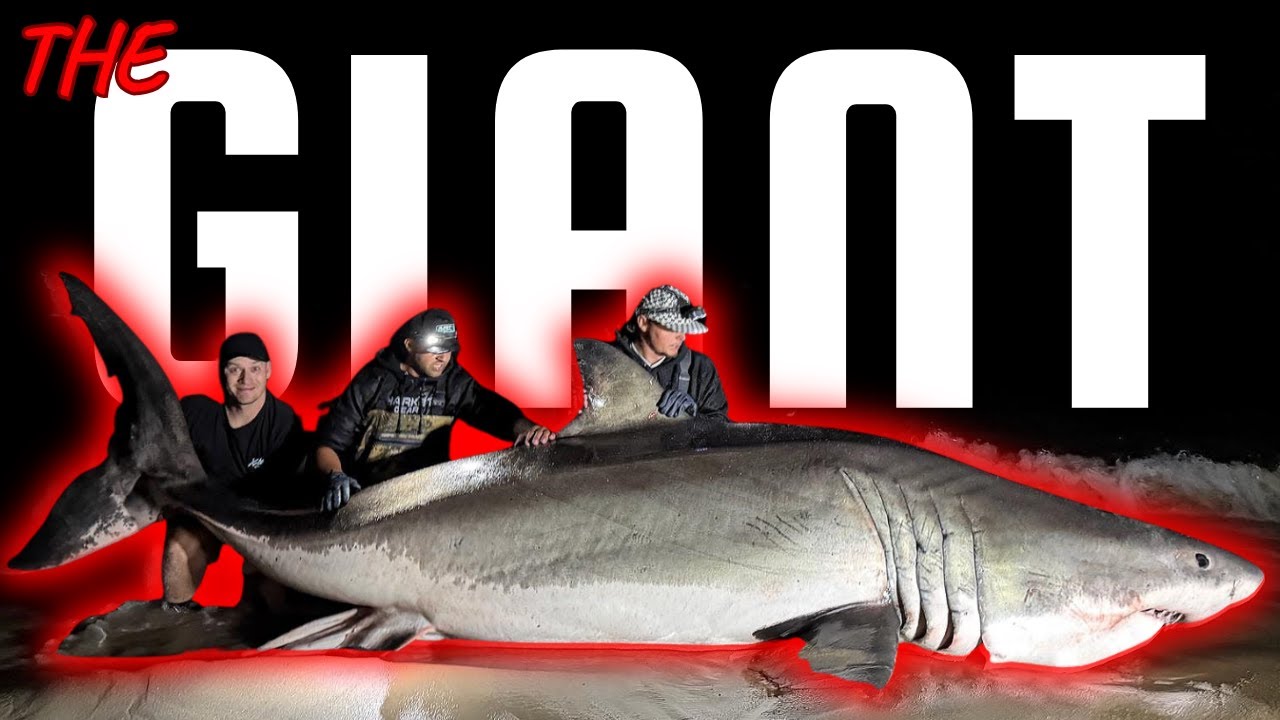 Original Title & Thumbnail
