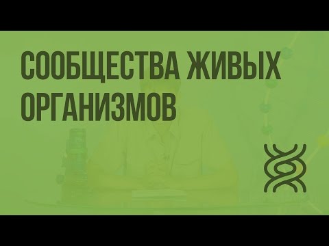 Сообщества живых организмов. Видеоурок по биологии 11 класс