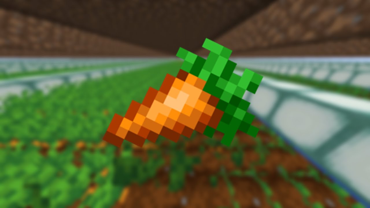 Carrot in hypixel skyblock YouTube