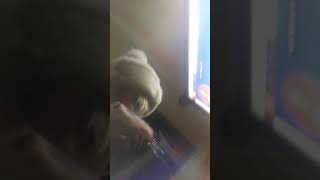 Hi - Lil Peep Periscope Live Stream