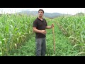 [NCTV] Les coulisses de la science - Agriculture bio : La fertilisation des sols