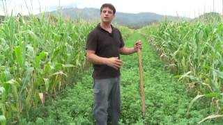 [NCTV] Les coulisses de la science - Agriculture bio : La fertilisation des sols