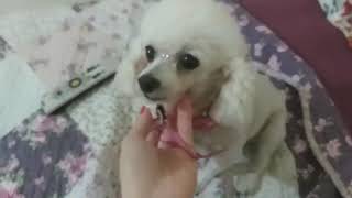 Caminhoneira Aline Füchter Ouriques Mostra Resultados Da Lipoaspiração