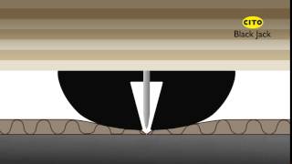 Cito - Black Jack