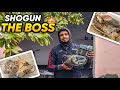 Suzuki Shogun ' The Boss | The Rx Killer🔥