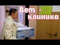 ПОПУГАИ В КОРОБКЕ || ЕДЕМ В ДРУГОЙ ГОРОД В ВЕТКЛИНИКУ || КАК ПЕРЕВОЗИТЬ ПОПУГАЯ