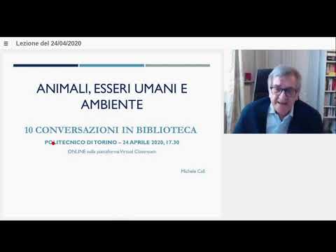 Video: L'impatto è In che modo gli esseri umani e l'ambiente si influenzano a vicenda?