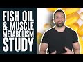 Fish Oil &amp; Muscle Metabolism | Educational Video | Biolayne