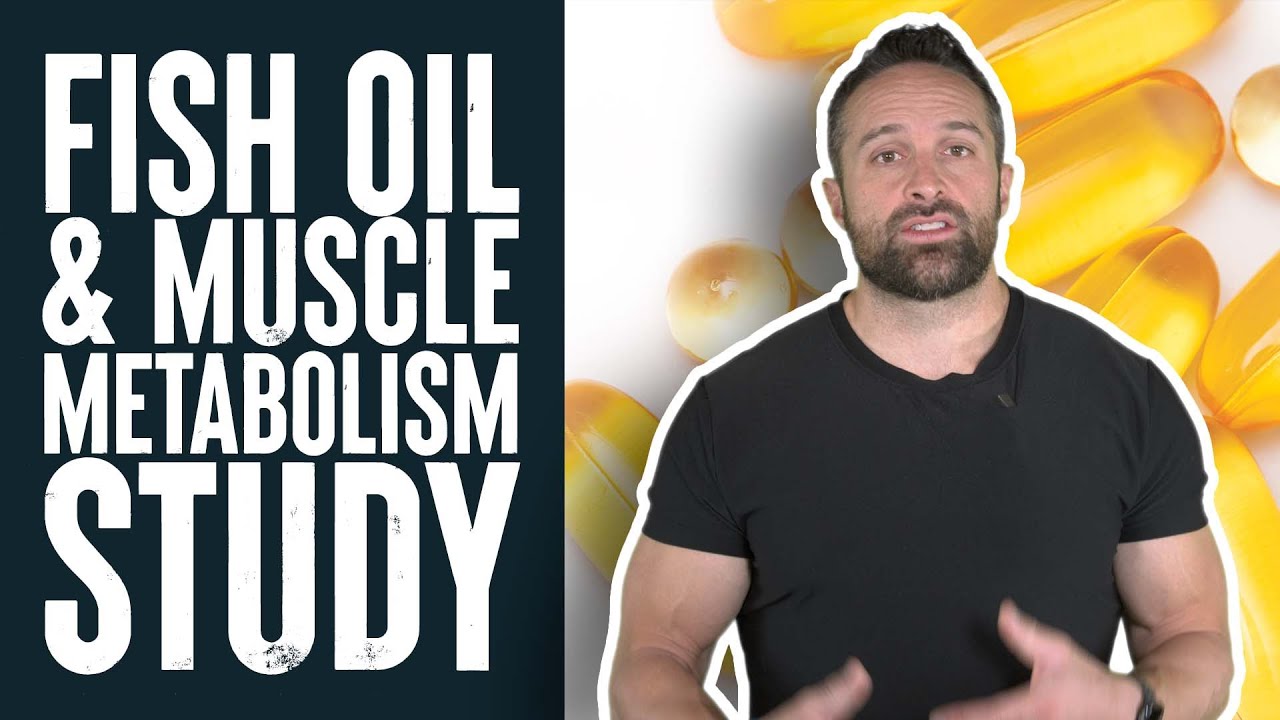 Fish Oil & Muscle Metabolism Educational Video Biolayne YouTube
