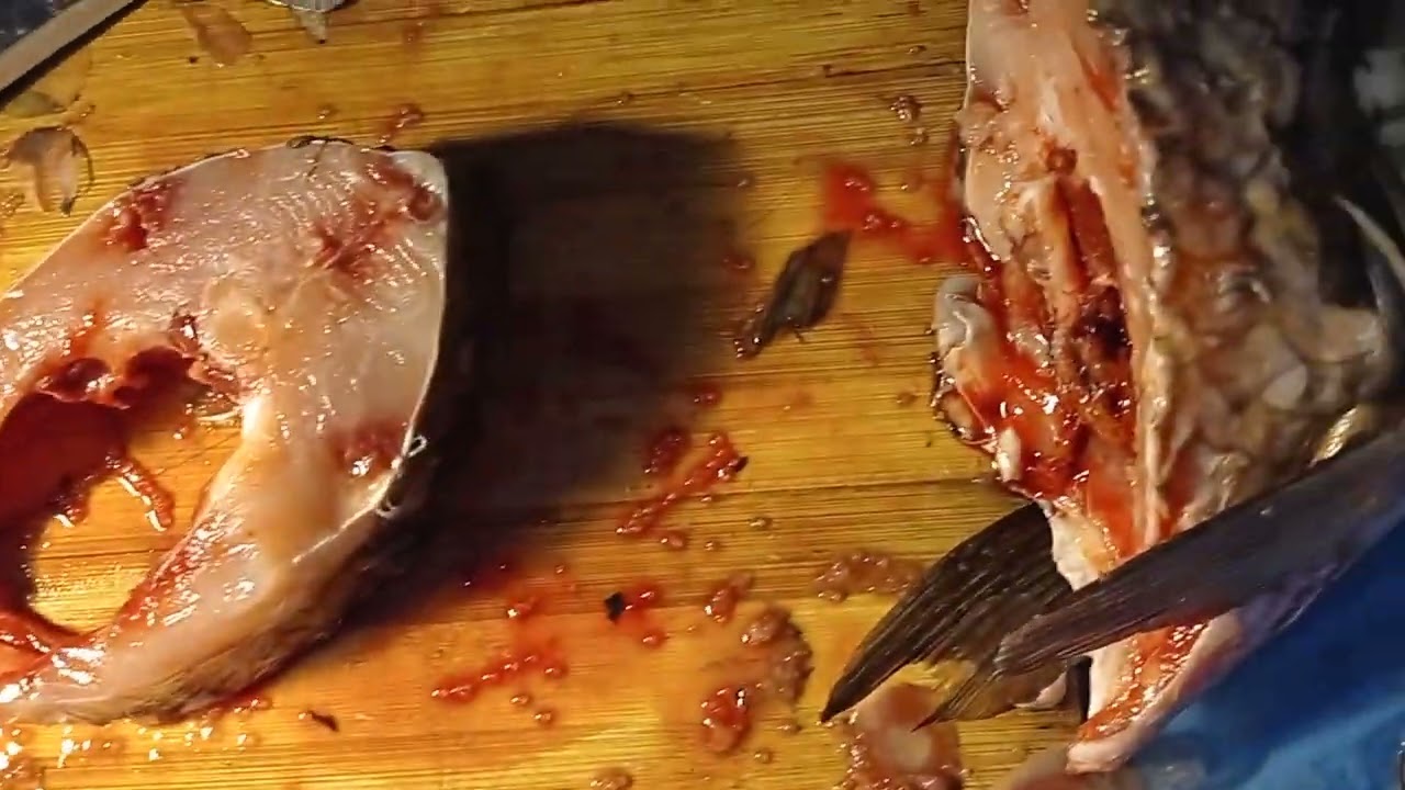 Removing fish intestines/cleaning for the first time Part 2.