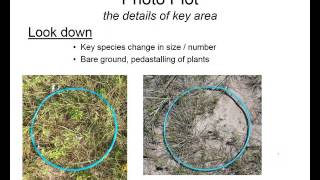 Using the GrassSnap App for Monitoring Rangeland and Pasture