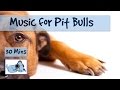 Relaxing and Calming Music for Pit Bulls! Relax your Pit Bull with Calming Music