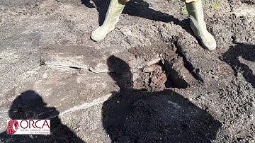 Bronze Age Cist Discovery Finstown SSEN Site, Orkney