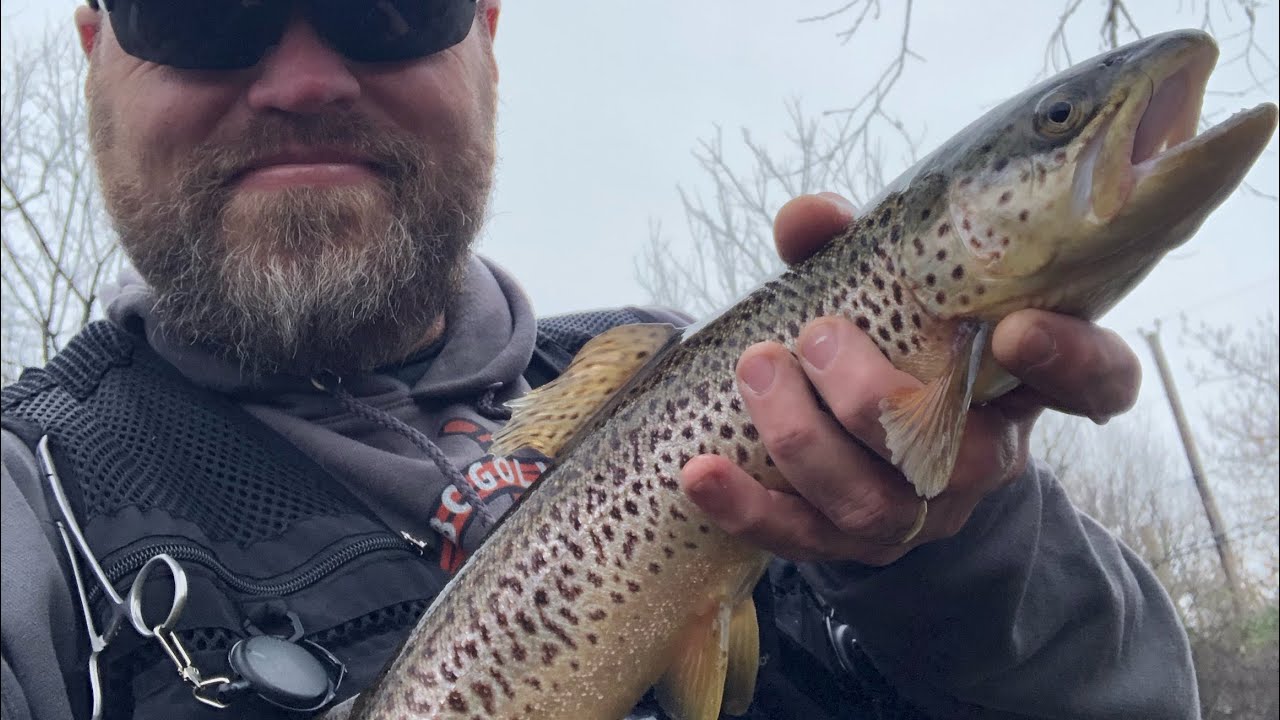 Trout fishing Christmas Day. Little Lehigh creek, Allentown PA YouTube