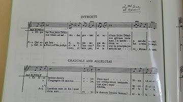 2nd Sunday of Advent (Introit)