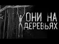 ОНИ НА ДЕРЕВЬЯХ! Страшные истории на ночь. Страшилки на ночь.