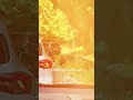 غريزة الأمومة.. دبّة تهاجم سيارة سياح!