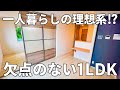 理想的な1LDK！？戸建のような玄関と開放感が素晴らしい一人暮らしのお部屋【賃貸アパート内見】