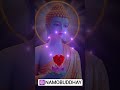 🇪🇺💙☸️#namobuddhay #buddhastory #buddhiststory #buddhist #buddhism #buddhastatue #buddhaquotes #☸️☸️🙏