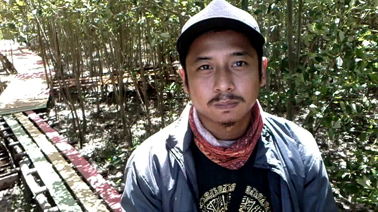 Devans. Mangrove conservation 