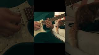 Hallowed  'Soen Guitar Solo #soen   #hallowed  #ibanez  #guitar #neuraldsp  #guitarcover