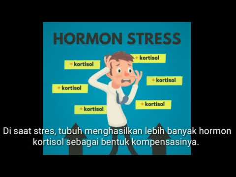 Video: Cortisol - Apa Itu? Bagaimana Cara Mengambil? Kadar Kortisol Dalam Darah