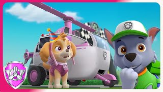 Skye's BIRTHDAY! | Skye PAW Patrol | Rocky;s Garage | Cartoons for kids