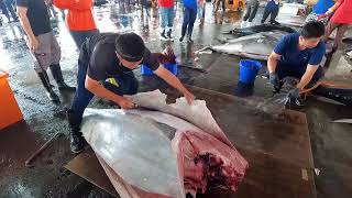 305 кг разделка гигантского голубого тунца
