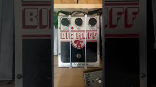 A quick how to for my riot grrrls! #riotgrrrl #diypunk #punkmusic #howtoproduce