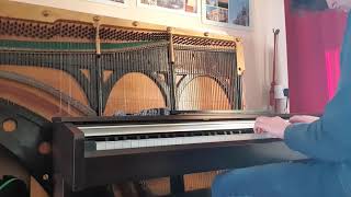 Piranha Plant Lullaby (Amateur Piano Cover)