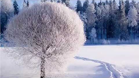 سورة ق | القارئ حسام الدين عبادي