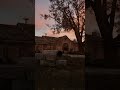Stalker 2 Ambient Yaniv Entrance